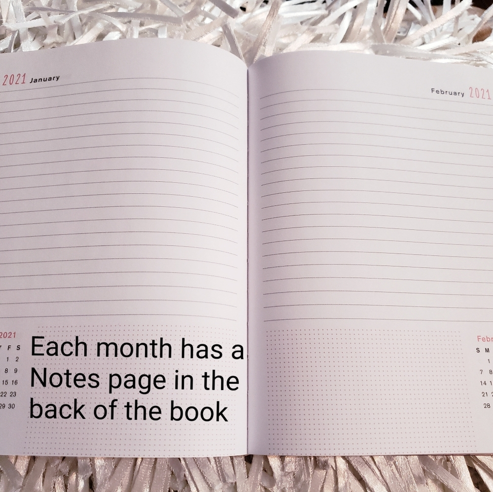 🆕️ NEW 18-Month Smarty Cats🐈 2020-2021 Planner - Picture 7 of 16